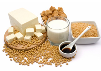 soy and its products